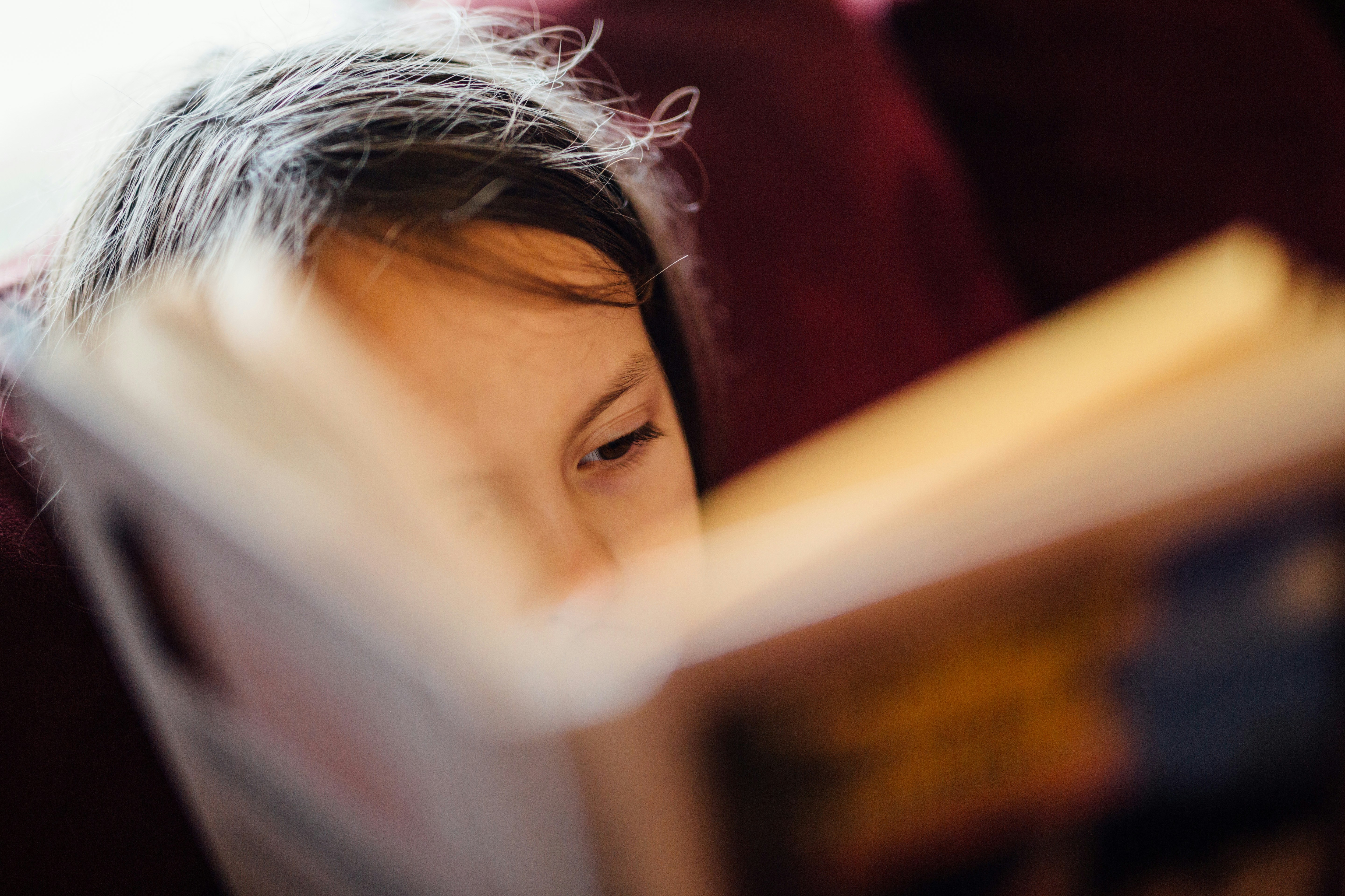 Young girl reading a book